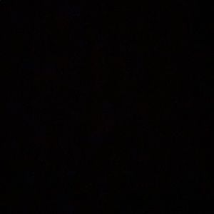 Meet your Posher, Trevor